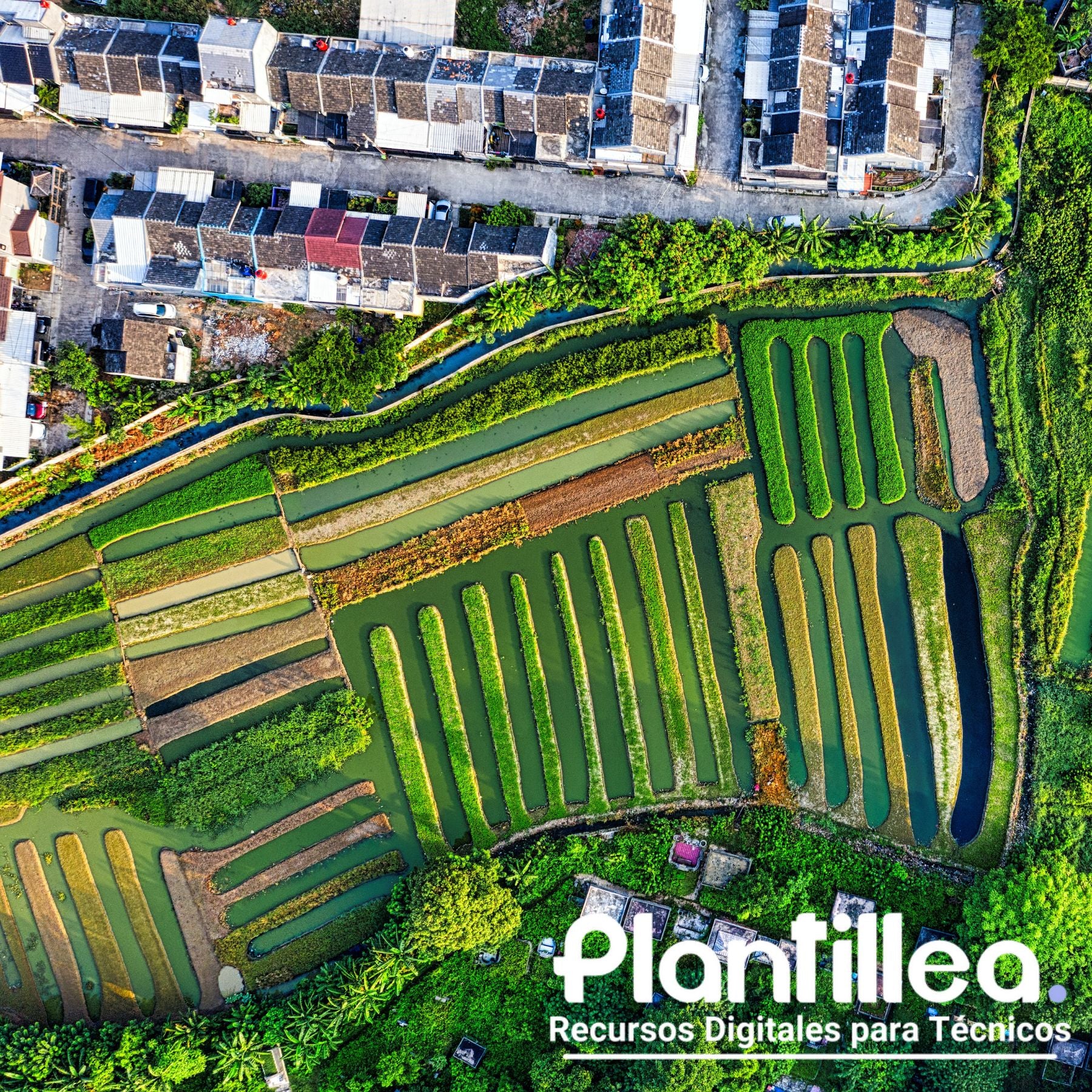 Estudio Ambiental de Repercusiones en Fases de Construcción y Explotación con Medidas Correctoras