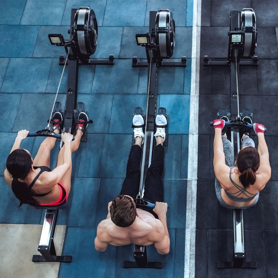 Proyecto de apertura de gimnasio - Plantillea