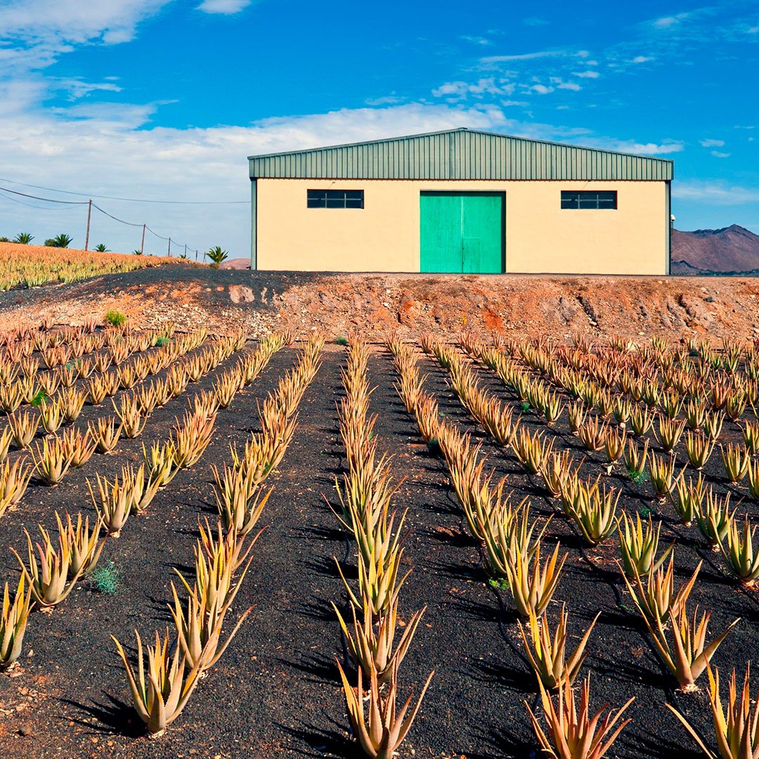 Proyecto de construcción de nave agrícola - Plantillea