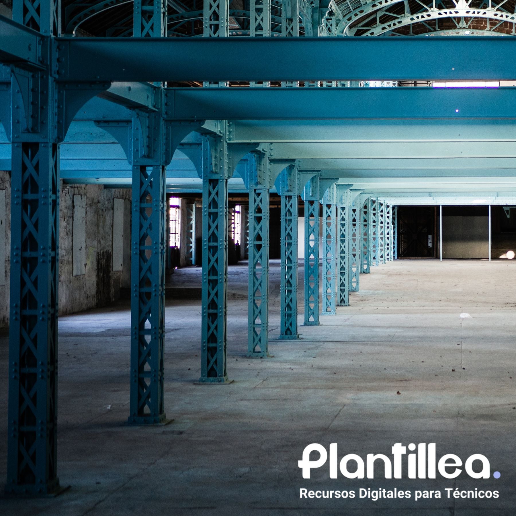Anexo de Ampliación para Construcción de Altillo Interior en Nave Industrial